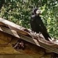 Даниил Порошин