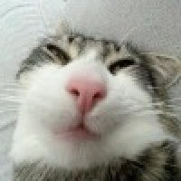 Максим Галченов