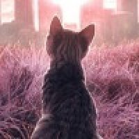 Делайла Кора