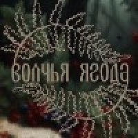 волчья ягода