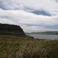 Алина Африка