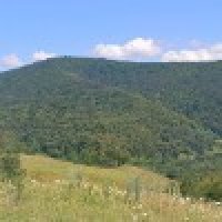 Айткулов Ринат