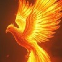 Артём Каракулька