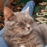 Анастасия Владимировна Курмагожина