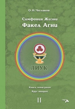 Симфония жизни. Факел Агни. Книга четвертая. Круг второй