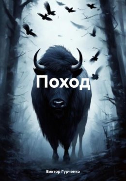 Поход