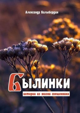 Былинки. Истории из жизни священника