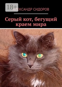 Серый кот, бегущий краем мира