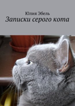 Записки серого кота. Жизнь людей глазами кота