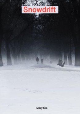 Snowdrift