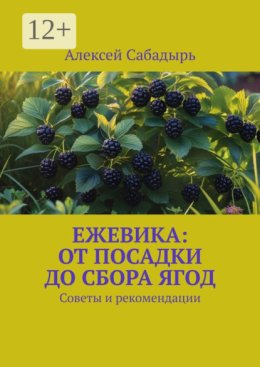 Ежевика: От посадки до сбора ягод. Советы и рекомендации