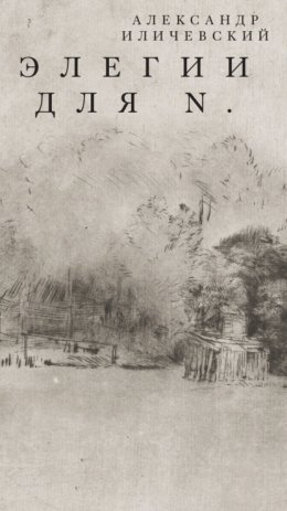 Элегии для N.