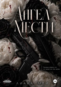 Обложка книги «Черный ангел театра»