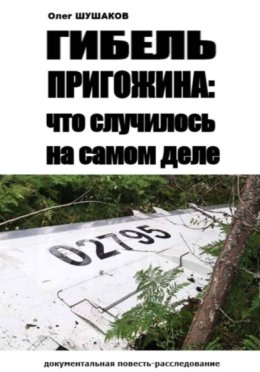 Обложка книги «Гибель Пригожина: что случилось на самом деле»