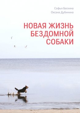 Новая жизнь бездомной собаки