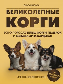 Великолепные корги: все о породах вельш-коргипемброк и вельш-корги-кардиган