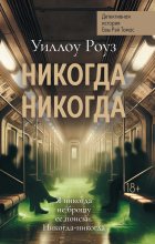 Детективная история Евы Рэй Томас. Книга 3. Никогда-никогда