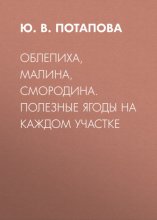 Облепиха, малина, смородина. Полезные ягоды на каждом участке