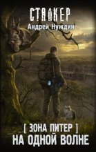 Коралловые сады Красного моря. Атлас кораллов