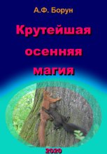 Крутейшая осенняя магия
