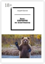 Лего-КИРПИЧИ из пластмассы