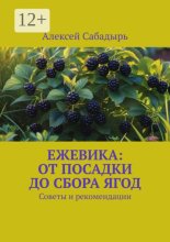 Ежевика: От посадки до сбора ягод. Советы и рекомендации