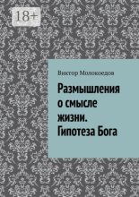 Размышления о смысле жизни. Гипотеза Бога