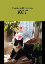 Кот
