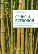 Сенья и Всеволод. Приключения в нейромире