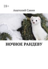 Ночное рандеву