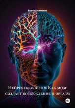 Нейросексология: Как мозг создает возбуждение и оргазм