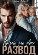 Крылья для двоих. Развод
