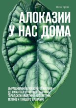 Алоказии у нас дома. Выращивание алоказий от клубня до гиганта в условиях обычной городской квартиры (без витрин, теплиц и танцев с бубнами)