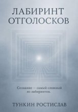 Лабиринт отголосков