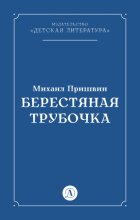 Берестяная трубочка