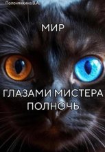 Мир глазами Мистера Полночь