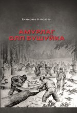 Амурлаг ОЛП Бушуйка