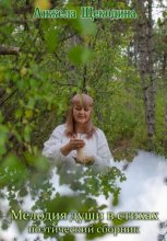 Мелодия души в стихах. Поэтический сборник