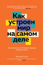 Как устроен мир на самом деле. Наше прошлое, настоящее и будущее глазами ученого