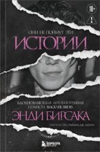 Они не поймут эти истории. Вдохновляющая автобиография солиста Black Veil Brides Энди Бирсака