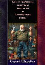 Как с гаечным ключом попасть в блогерские топы?