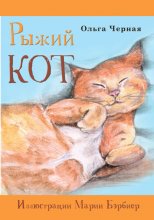 Рыжий кот