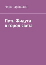 Путь Фидуса в город света. Руководство по возвращению к себе