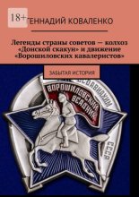 Легенды страны советов – колхоз «Донской скакун» и движение «Ворошиловских кавалеристов». Забытая история