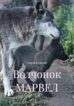 Волчонок МАРВЕЛ