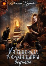 Из генерала в фамильяры ведьмы