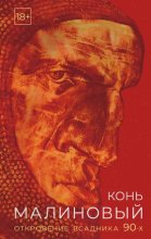 Конь малиновый. Откровение всадника 90-х