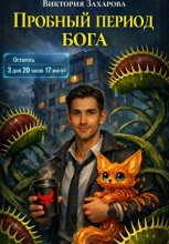 Пробный период бога