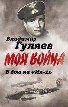 В бой на «Ил-2». Нас называли «черной смертью»