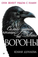 Самые умные птицы на свете. Вороны
